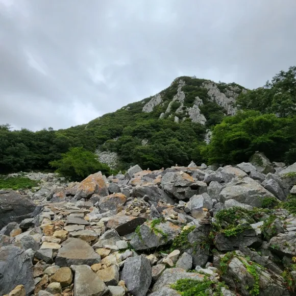 전남 해남군 송지면과 북평면에 걸쳐 있는  달마산(해발 489m) 능선에는 1만개의 기암괴석이 병품처럼 펼쳐진다. 산세가 웅장해 남도의 금강산이라 불린다.