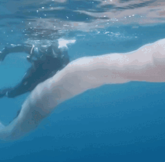 2018년 뉴질랜드 바다에서 길이 30m에 달하는 거대한 불우렁쉥이가 목격돼 국내에서도 화제를 모았다