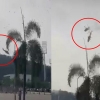 [영상] 말레이 해군 헬기 2대 공중 충돌…탑승자 10명 전원 사망
