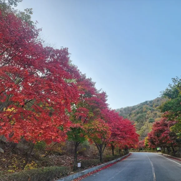 대둔산은 사시사철 아름다운 옷으로 갈아입니다. 사진은 단풍으로 곱게 물든 대둔산 풍경.