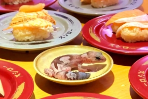 식당 접시에 애완도마뱀 올린 무개념 여대생···식당 측 “법