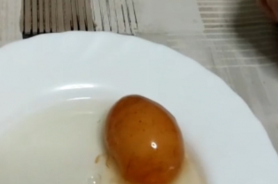달걀 속에 또 달걀이?···SNS서 화제된 ‘이중 달걀’ (영상)