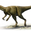‘2억3300만년 전’···세계서 가장 오래된 공룡 화석 발견
