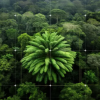 ‘세상에 단 한 그루’···AI 동원된 우드소철나무의 짝 찾기 프로젝트