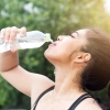 덥다고 ‘이렇게’ 물 마시면 죽어요…실제 사망 사례 보니[핵잼 사이언스]