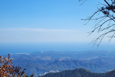 화마를 이겨낸 울진 응봉산을 걷다 [두시기행문]