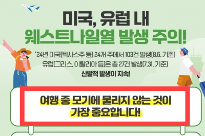 전문가들 “모기에 안 물리면 말라리아 안 걸려요”…‘모기 질병’ 확산 이유는?[핫이슈]