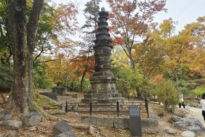 창경궁 춘당지 옆 보물 석탑…“중국에서 만든 것을 일제강점기