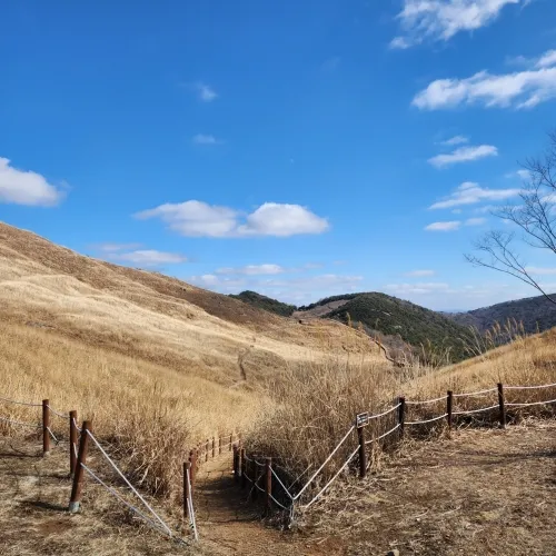 창녕 화왕산의 억새 평야. 드넓은 평원에 억새가 끝없이 펼쳐져 있다.