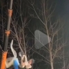 아내 추락사 1년 후 남편도 추락…中 위험천만 ‘죽음의 서커스’[여기는 중국]