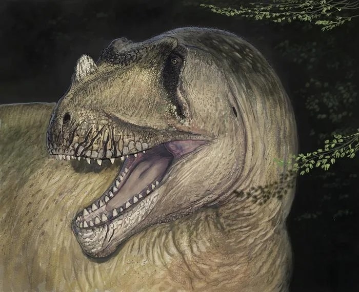 ‘타메리랍토르 마크그래피’(Tameryraptor markgrafi)의 그래픽 이미지. 출처=Joshua Knüppe ‘타메리랍토르 마크그래피’(Tameryraptor markgrafi)의 그래픽 이미지. 출처=Joshua Knüppe