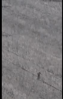 러시아군 부상병들이 허허벌판에서 목발에 의지한 채 달리는 모습. 우크라이나군은 러시아군이 부상병을 동원해 비인도적인 방패술을 쓰고 있다고 비난했다. 우크라이나 국가 안보 및 국방위원회 허위정보 대응센터장 안드리 코발렌코 텔레그램 캡처