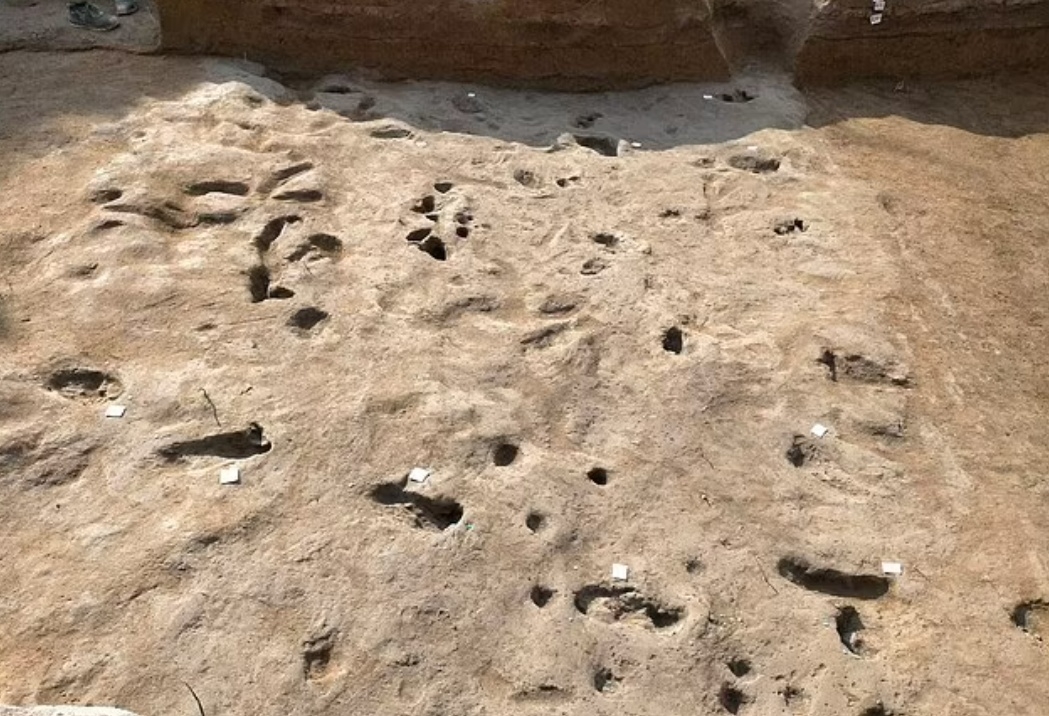 기원전 2300~1700년 전 이탈리아 베수비오 산에서 대규모 화산 폭발이 발생했을 당시 사람과 염소, 양 등 동물이 대피하면서 남긴 발자국. 이탈리아 아벨리노 지역 고고학 연구진 페이스북 캡처 기원전 2300~1700년 전 이탈리아 베수비오 산에서 대규모 화산 폭발이 발생했을 당시 사람과 염소, 양 등 동물이 대피하면서 남긴 발자국. 이탈리아 아벨리노 지역 고고학 연구진 페이스북 캡처