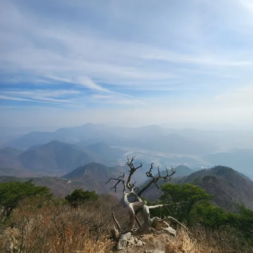 충북 보은군과 경북 상주시 경계를 이루는 구병산은 험준하지만 그만큼 인위적인 손길을 덜 타 자연이 잘 보존돼 있다. 정상을 지키는 고사목과 어우러진 정상의 경관은 숨막힐 정도로 빼어나다.