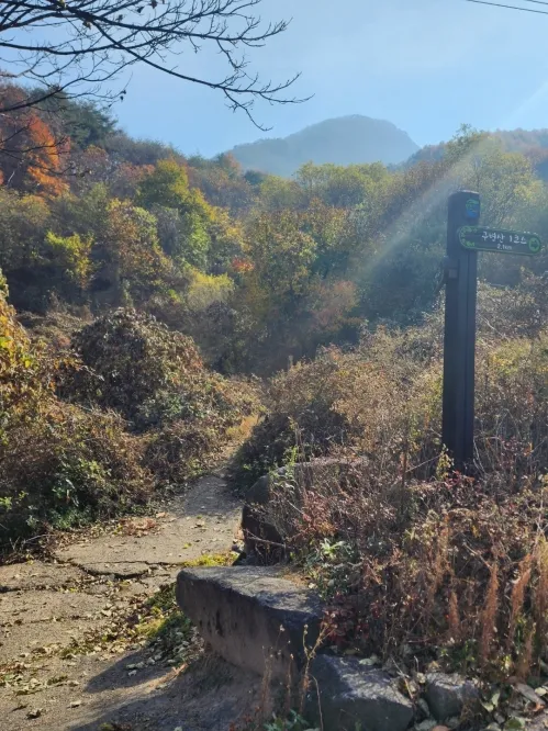 구병산의 등산 코스 갈림길. 2코스를 선택해 정상까지 올랐다 내려오는 게 최단거리다.