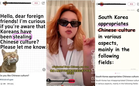 ‘한국은 도둑 국가’라는 식의 억지 주장이 난무하는 중국판 인스타그램 샤호훙슈. 출처=서경덕 교수 SNS