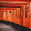 신사(神社)의 품격과 예술의 조화, 교토 이나리신사 [한ZOOM]