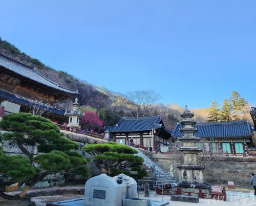 전남 구례 화엄사는 그 자체로 명승이자 다양한 문화재를 품은 ‘천년 고찰’이다.