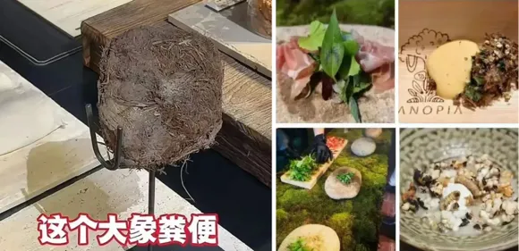 코끼리 배설물(왼쪽 사진), 벌레 등으로 디저트를 만든 중국 상하이 레스토랑이 식품 안전법 위반으로 조사를 받았다. 출처=칸칸신문