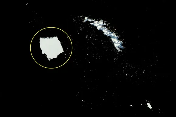 아쿠아 위성이 지난 3일 촬영한 A-23A 빙산(원 안)과 인근에 사우스조지아섬이 보인다. NASA Earth Observatory 아쿠아 위성이 지난 3일 촬영한 A-23A 빙산(원 안)과 인근에 사우스조지아섬이 보인다. NASA Earth Observatory