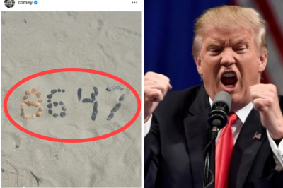 ‘8647’ 의미 알고 보니 섬뜩…FBI 전 국장, 트럼프 암살 선동 의혹