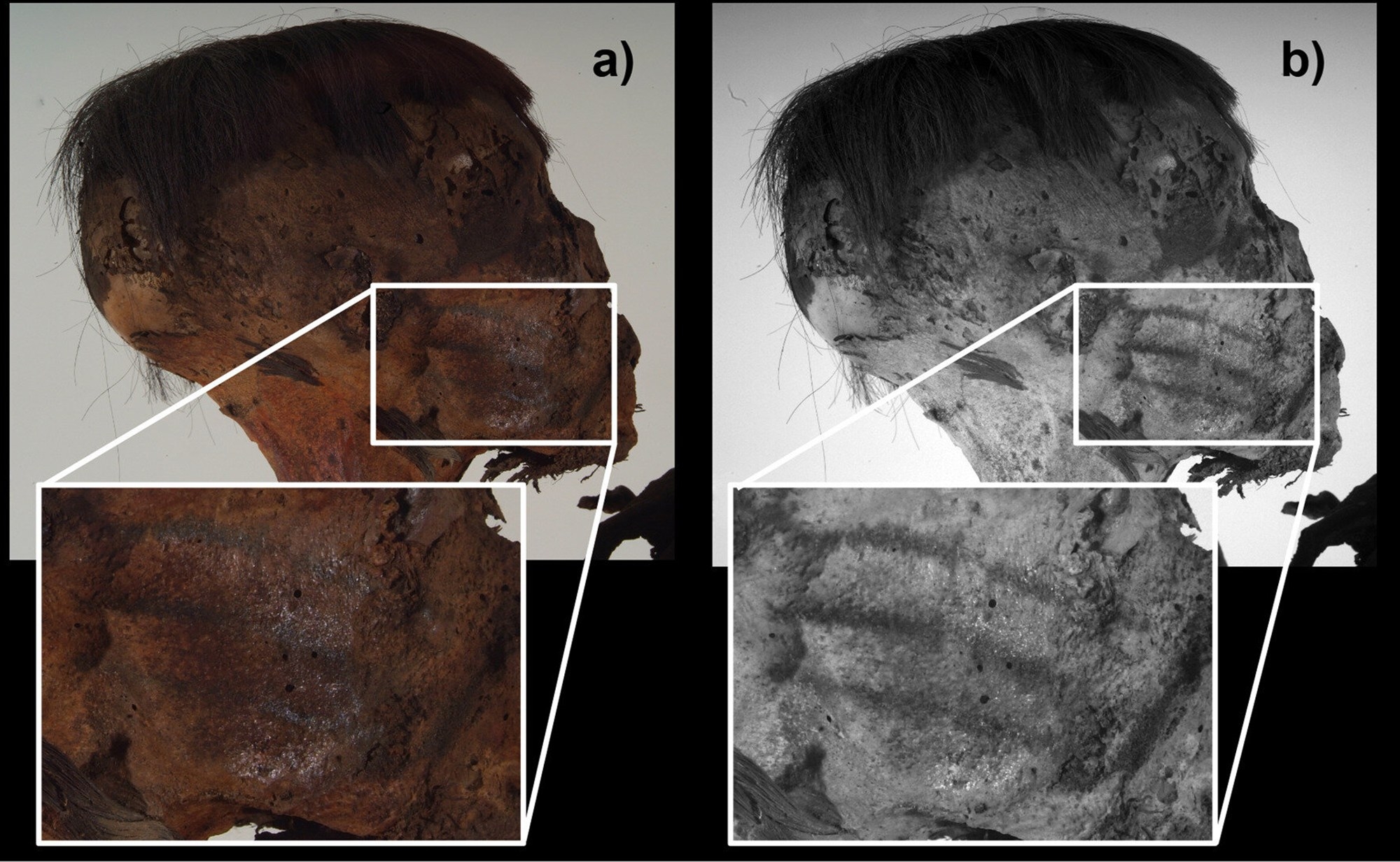 미라 얼굴에서 발견된 줄 문신. Journal of Cultural Heritage (2025) 미라 얼굴에서 발견된 줄 문신. Journal of Cultural Heritage (2025)