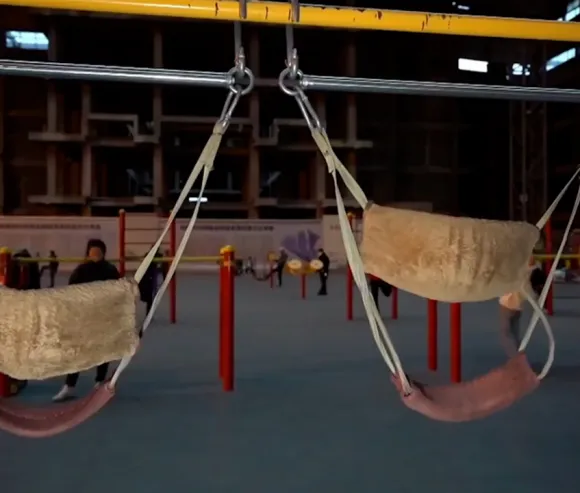 중국 장·노년층 사이에서 유행하고 있는 공원 운동 기구. 더우인 캡처