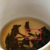 차 우렸더니 죽은 청개구리가…中 유명차 위생 논란