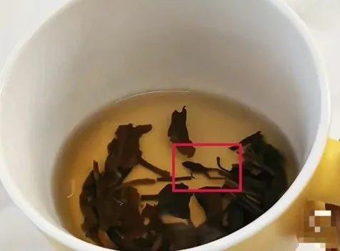 중국 유명 차 브랜드 제품에서 죽은 청개구리가 발견돼 논란이 일고 있다. 펑황망