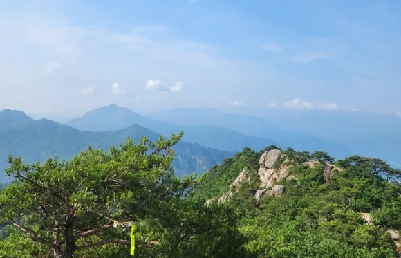 대야산 능선에서 바라보는 백두대간 봉우리들과 경쾌한 풍경