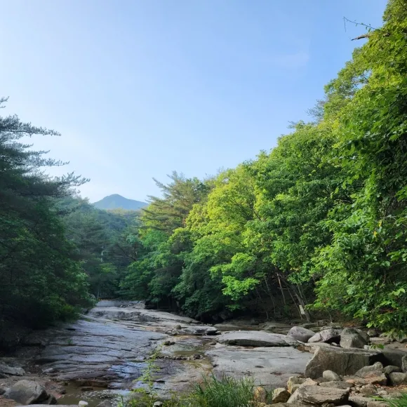용추계곡의 풍경. 가을이 되면 형형색색 단풍이 물들어 더욱 아름답다.