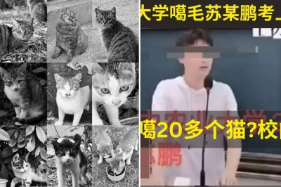 thumbnail - 길고양이 학대범이 복지센터 지원?…中 공공기관 ‘채용 취소’로 갑론을박 [여기는 중국]
