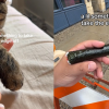 요즘 스트레스 어떻게 풀고 계신가요?…고양이 꼬리 한 모금이요