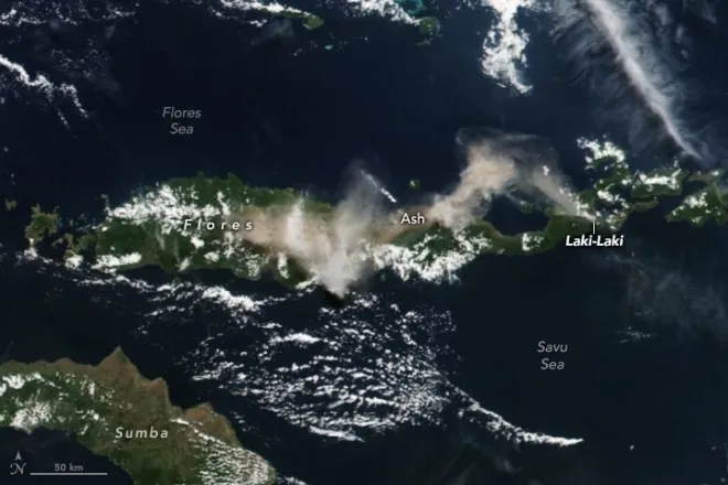 지난 7일 NASA 수오미 NPP 위성으로 촬영한 르워토비 화산 분화 후 화산재 이동 모습. NASA Earth Observatory 지난 7일 NASA 수오미 NPP 위성으로 촬영한 르워토비 화산 분화 후 화산재 이동 모습. NASA Earth Observatory