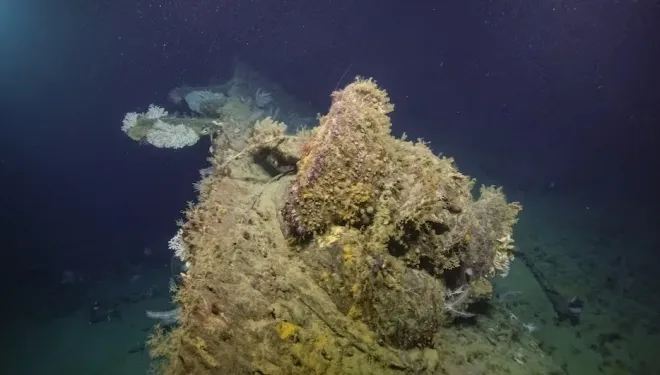 산호 등 각종 해양 생물로 뒤덮인 USS 뉴올리언스의 함수 부분. Ocean Exploration Trust/ Nautilus Live, NOAA 산호 등 각종 해양 생물로 뒤덮인 USS 뉴올리언스의 함수 부분. Ocean Exploration Trust/ Nautilus Live, NOAA