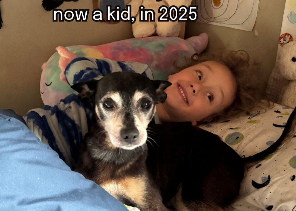 2025년 촬영한 지기의 모습. 출처=인스타그램 muttvillesf