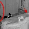 thumbnail - (영상) 소름 그 자체…도둑이 ‘잠든 여성 집주인’ 관찰하는 모습 공개
