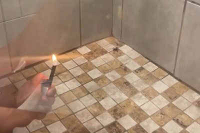 thumbnail - (영상) 집에 들어온 거미를 가장 무자비하게 소탕하는 방법