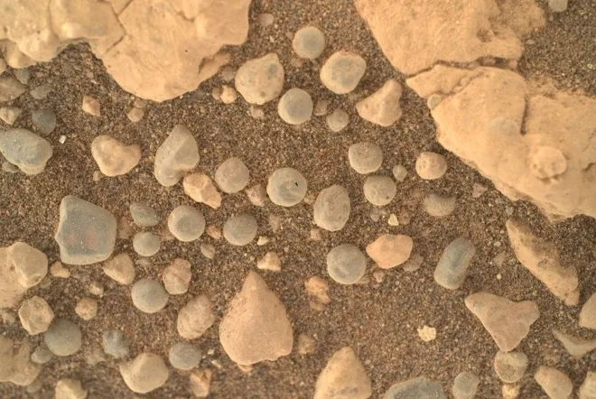 퍼서비어런스가 화성 땅에서 포착한 동그란 형태의 돌 모습. NASA/JPL-Caltech