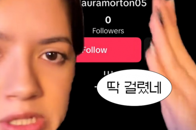 thumbnail - 너 진짜 사람이야?…틱톡에 소환된 ‘죽은 인터넷 이론’