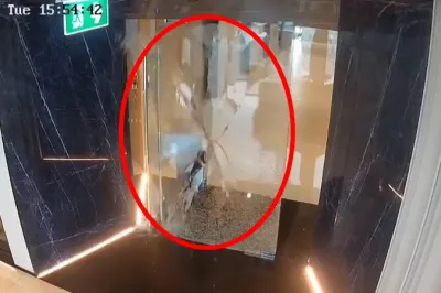 thumbnail - (영상) 살짝 밀었는데 ‘와장창’…산산조각 유리문에 힘줄 끊긴 태국 여성