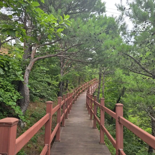 응봉의 편안한 등산로