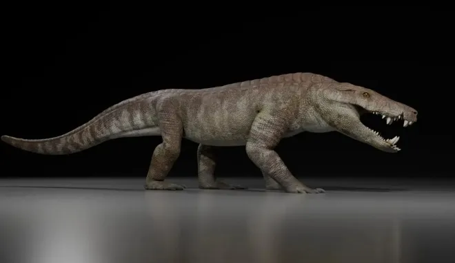 코스텐수쿠스 아트록스(Kostensuchus atrox)의 그래픽 이미지