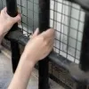 thumbnail - “악마를 보았다”…22년간 딸 감금·성폭행, 자녀 3명 출산하게 한 아버지