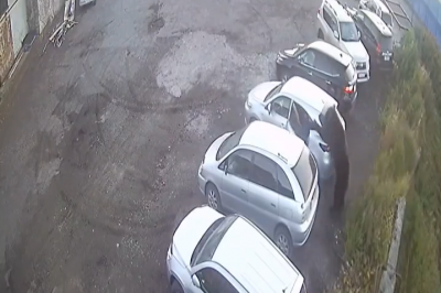 thumbnail - (영상) 1초 차이로 구사일생…주차장서 곰 습격 피한 남자