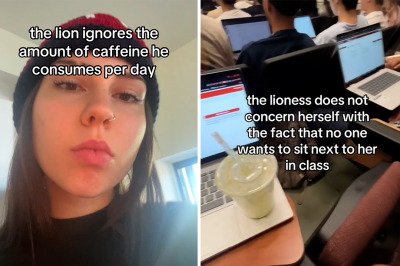 thumbnail - 지금 SNS는 ‘사자’들이 접수했습니다 [SNS 트렌드]