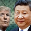 중국에 ‘매달린’ 트럼프의 굴욕…시진핑, 알고 보니 믿는 구석 있었다 [핫이슈]