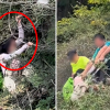 (영상) 절벽에서 ‘미끌’…나뭇가지 매달려 극적 생존한 中 여성