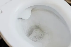 “절대 변기에 넣지 마세요”…영국에서 벌금·징역형이라는 ‘이