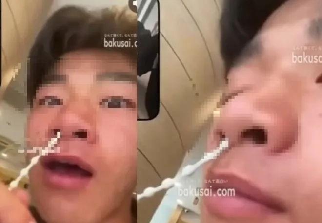 일본 교토 세이카가쿠엔 고등학교 재학생이 교토 시내의 한 패스트푸드 점에서 블라인드를 조정하는 줄을 코에 넣고 장난치는 영상을 SNS에 공개해 논란이 일었다. 엑스 영상 캡처 일본 교토 세이카가쿠엔 고등학교 재학생이 교토 시내의 한 패스트푸드 점에서 블라인드를 조정하는 줄을 코에 넣고 장난치는 영상을 SNS에 공개해 논란이 일었다. 엑스 영상 캡처